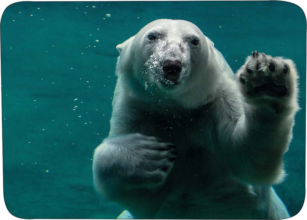 Muismat ijsbeer Rubber - Hoge kwaliteit foto van ijsbeer muismat op polyester bedrukt - 25 x 19 cm - Anti-slip muismat - 5mm dik - Muismat met foto - heerlijk voor op je bureau