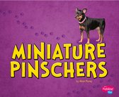 Tiny Dogs - Miniature Pinschers