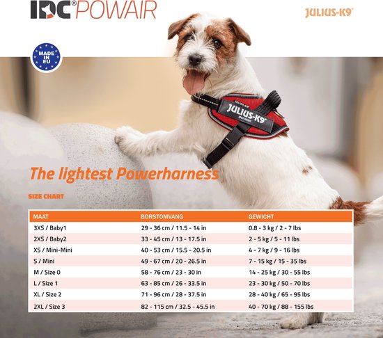 Jack Russell Terrier met rood Julius-K9 IDC®Powair tuig, met de tong uit zijn bek. Maattabel ernaast.