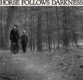 Delia Gonzalez - Horse Follows Darkness (LP)