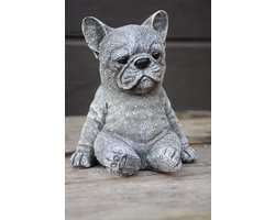 Franse Bulldog, Frenchie