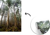 Behang - Fotobehang De bossen van het Canadese archipel Haida Gwaii in Brits-Columbia - Breedte 190 cm x hoogte 280 cm