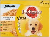Pedigree Junior - Maaltijdzakjes - 12 x 100 g