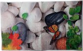 Deurmat - kleurrijk - vlinder - 80 x 50 cm
