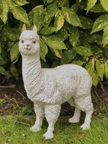 Alpaca / Lama klein wit 45 cm hoog - polyester - polyresin - polystone - hoogkwalitatieve kunststof - decoratiefiguur - interieur - accessoire - voor binnen - voor buiten - cadeau