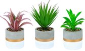 PlantCerra Set van 3 Realistisch Kunstplanten in Cement Pot - Nepplanten voor Binnen - Decoratieve Kamerplanten met Pot - Vetplantjes Kamer Decoratie - Fake/Nep Plant - Planten in