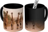 Magische Mok - Foto op Warmte Mok - Vijf giraffes lopen door het Krugerpark, Zuid-Afrika - 350 ML - Uitdeelcadeautjes