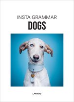 Insta grammar  -   Dogs