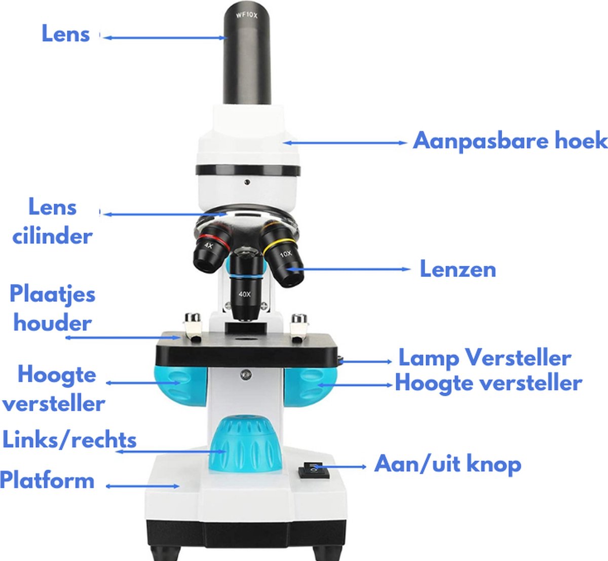 Microscoop 100x-1000x - Benelux