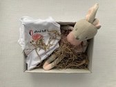 Geboortejongenmeisje.nl - Cadeaupakket baby Meisje | Kraamcadeau | Relatiegeschenk