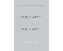 Being Aware of Being Aware
