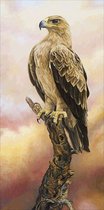 Diamond painting 45x85 cm - Eagle