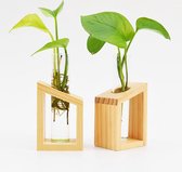 Stekstation met reageerbuisje - stek station vaasje van hout - minimalistisch design in huisjesvorm - stekken op water -