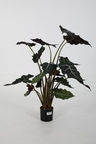 Alocasia polly kunstplant - skeletplant - topkwaliteit kamerplant - 90 cm hoog