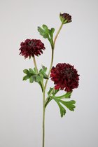 Kunstbloem - Scabiosa - druifkruid - topkwaliteit decoratie - 2 stuks - zijden bloem - donkerrood - 53 cm hoog