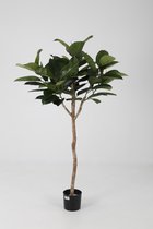 Rubberboom - Ficus Elastica Robusta - kantoorplant - zijdenplant - topkwaliteit kunstplant - 150 cm hoog