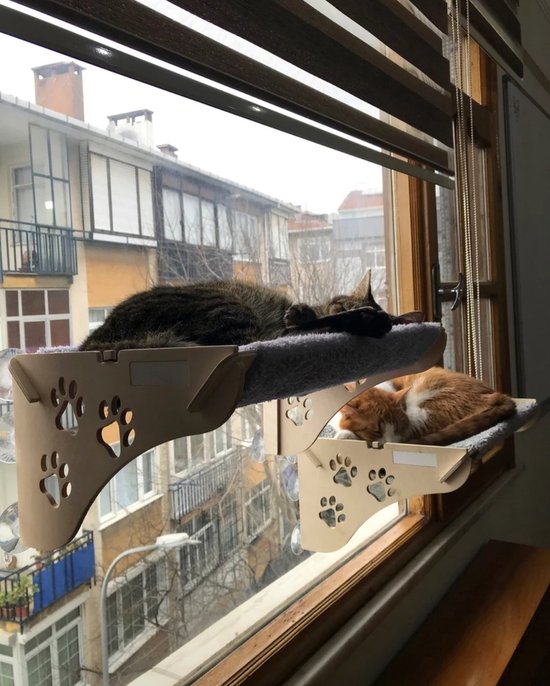 Twee katten rusten op twee houten kattenhangmatten aan een raam.
