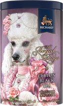 RICHARD THEE, ROYAL DOGS, POODLE, ROYAL CEYLON ZWARTE THEE, 20 MESH PIRAMIDS cadeaupakket, cadeau voor familie, cadeau voor vrienden, cadeaus voor ouders, nieuwjaarscadeau