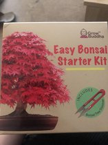 Grow Buddha - Kweek je eigen Bonsai kit - Kweek eenvoudig 4 soorten Bonsai bomen met onze complete beginnersvriendelijke Bonsai Zaden Starter kit - Unieke Zaadkit kit Gift idee