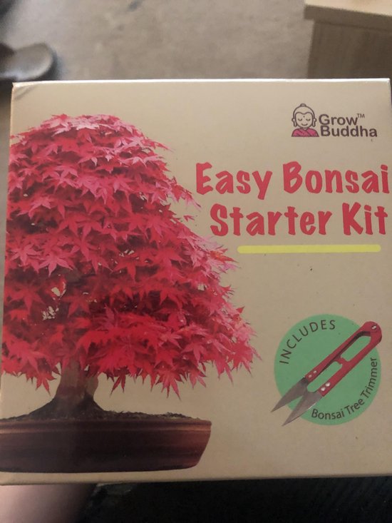 Grow Buddha Kweek je eigen Bonsai kit Kweek eenvoudig 4 soorten Bonsai bomen met...