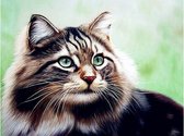 Daimond Painting Katten – 55 x 70 cm – Schilderij #7