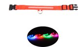 Dutchwide Lichtgevende Halsband Hond Extra Sterk L 41 cm tot 52 cm - Hondenhalsband - Klikhalsband - Verstelbaar - Reflecterend