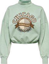 Jacqueline de Yong Trui Jdychris L/s Print Sweat Jrs 15245601 Basil Dames Maat - XL