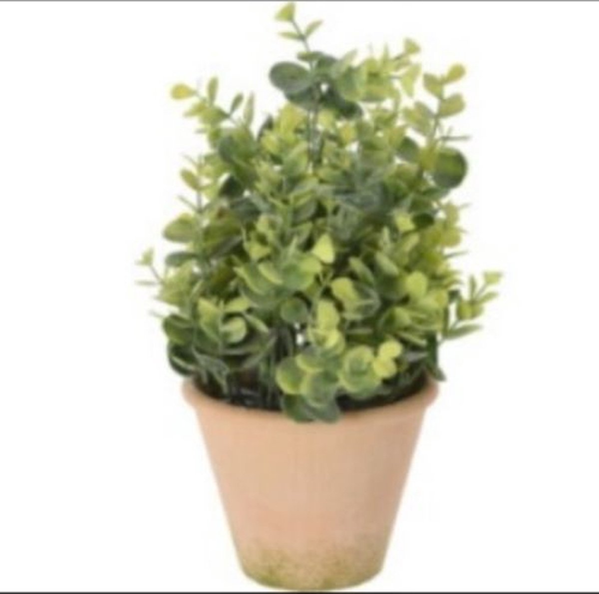 Botanical Decoration Botanical decorations-Plant in pot papier-Ø13 -hoogte 31cm-kunststof groen