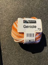 Laine à tricoter Schachenmayr Geniale n° 85
