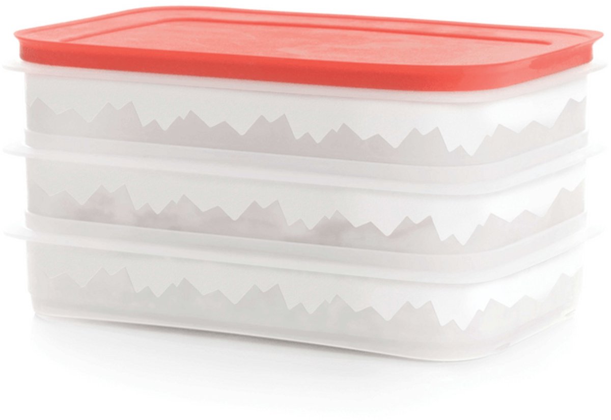 Tupperware vleeswarensdoos (versie 2024)
