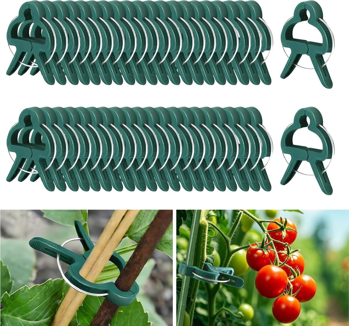 Herbruikbare klimplantenclips voor het ondersteunen van groenten, bloemen en fruit - 50 stuks