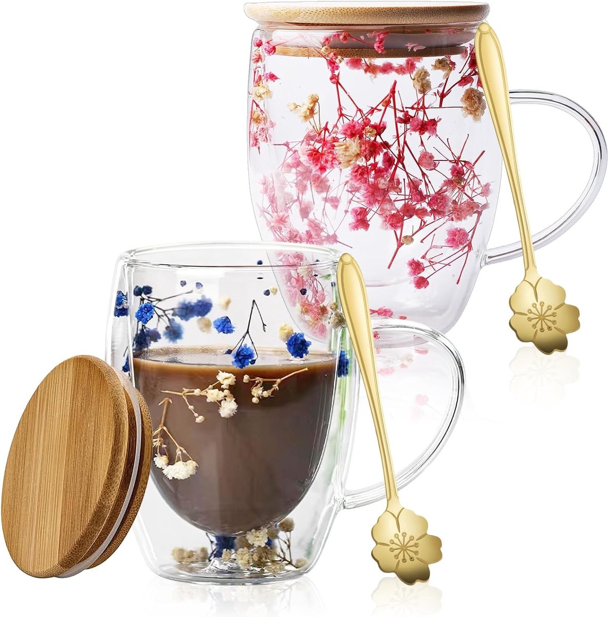 Dubbelwandige koffiekopjes met droogbloemen - 350 ml glazen bekers met handvat voor koffie en thee, ideaal voor macchiato en latte art