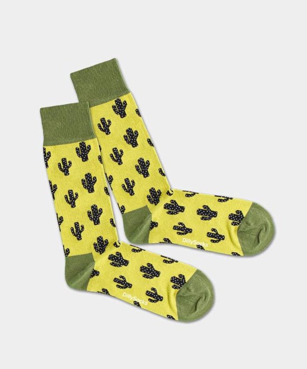 DillySocks Garden Cactus Sock 36-40