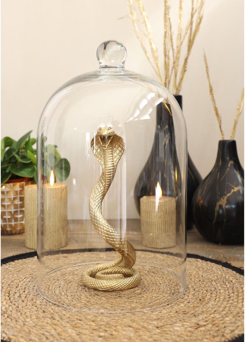 Luxe Glazen Stolp met Knop – Ø 18.2 cm – Hoogte 30 cm