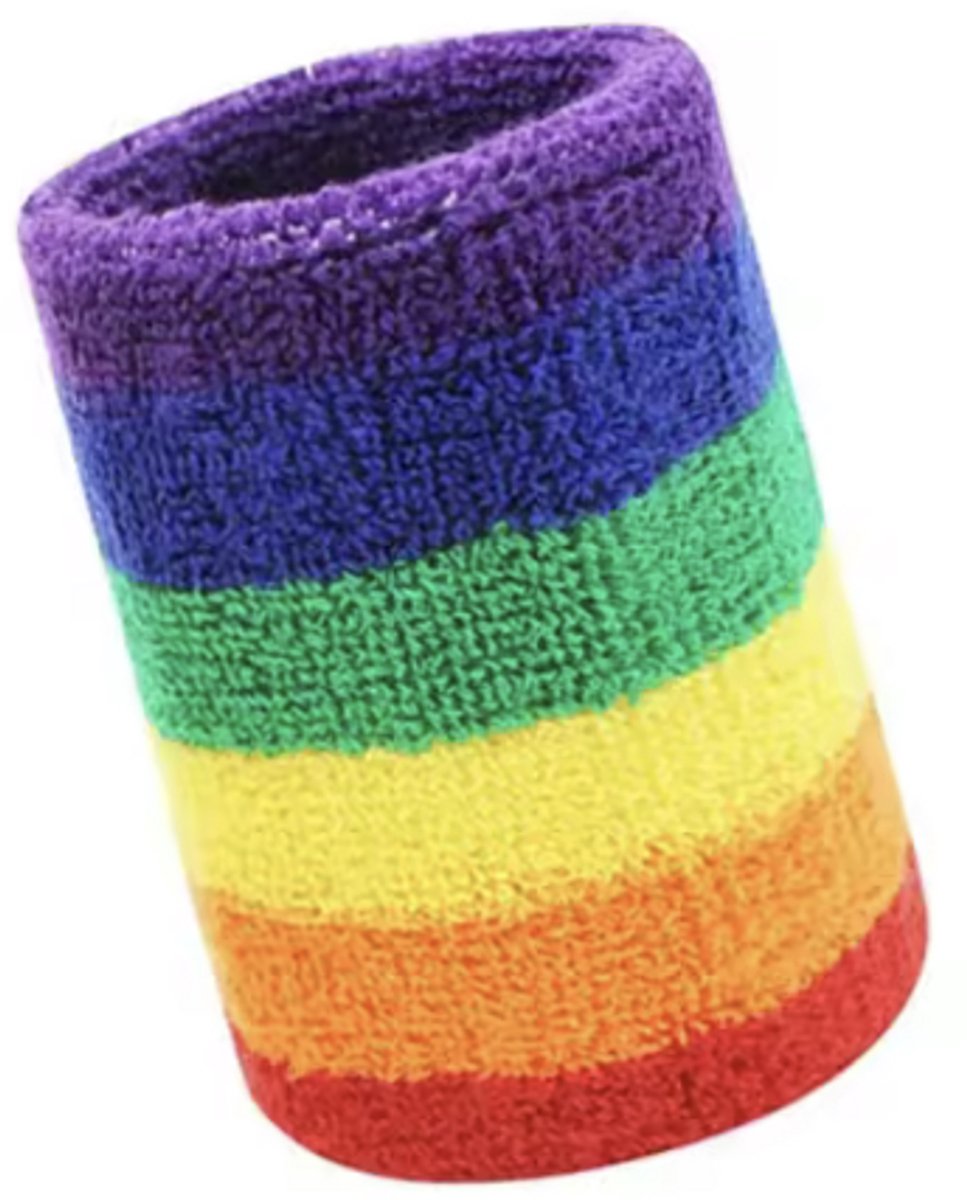 Regenboog Zweetbandje - Regenboog Polsband - Zweetband - Rainbow - Optocht - Festival - Pridebandje - 1 stuk - CHPN