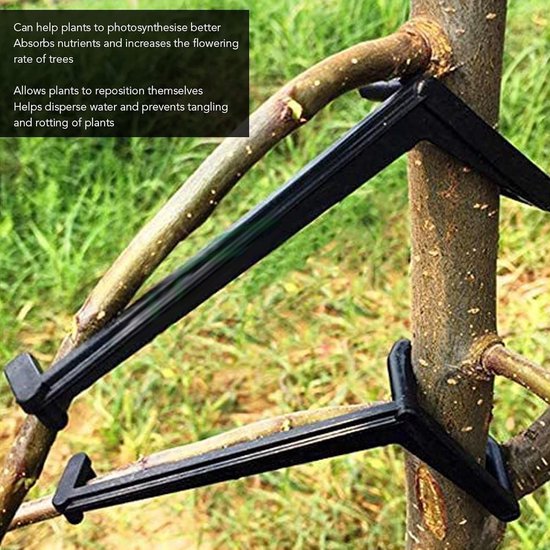 20 Stuks Fruitboom Takken Spreiders, Takken Verf voor Appelbomen, Tuinondersteuning voor Bonsai en Fruitbomen — afbeelding 3