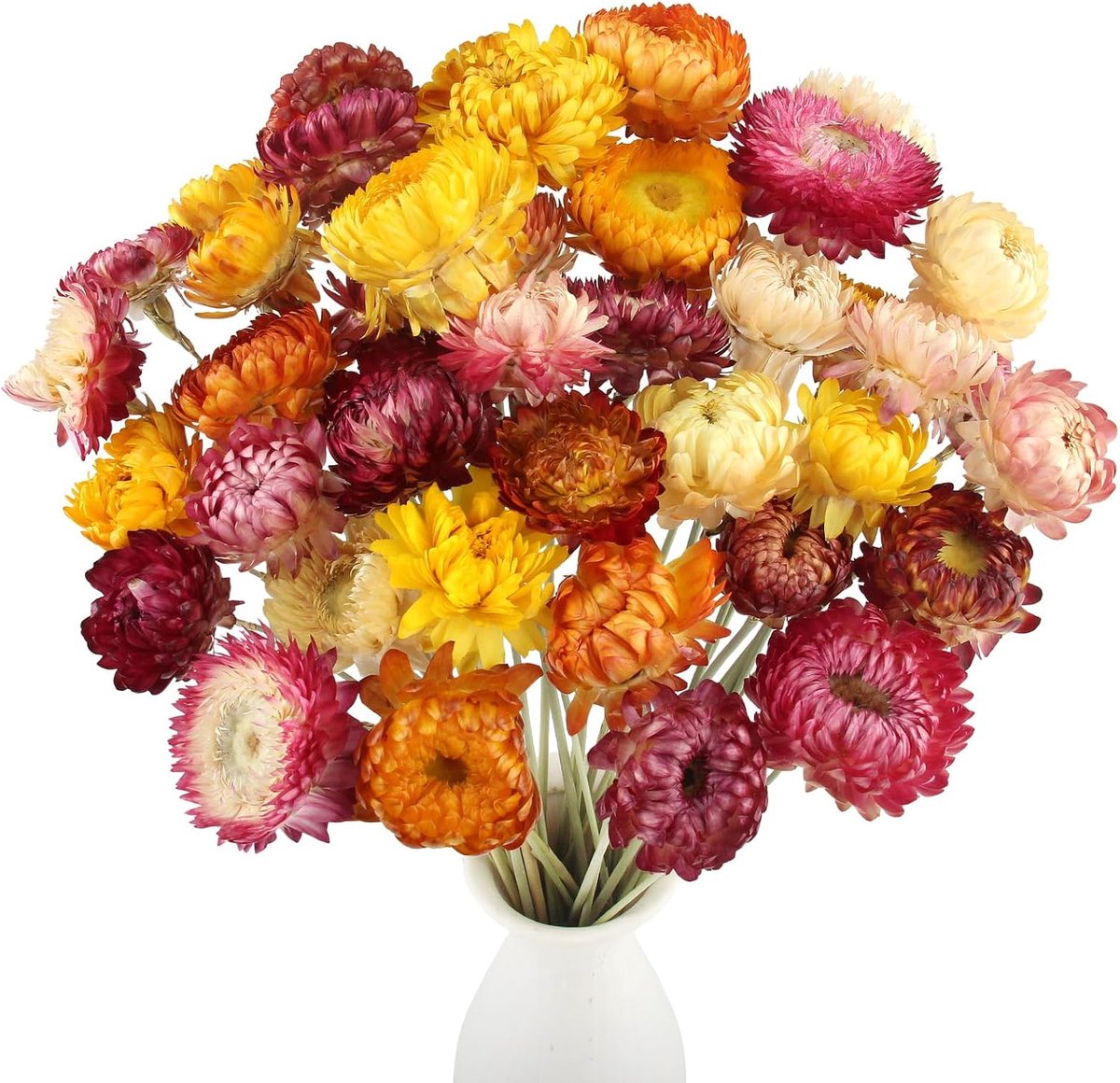 40 Stück Trockenblumen Trockenblumenstrau Mehrfarbige Getrocknete Gänseblümchen Getrocknete Blumen Natur Trocken Pflanze für DIY Blumenarrangements Zuhause Tischvasendekoration