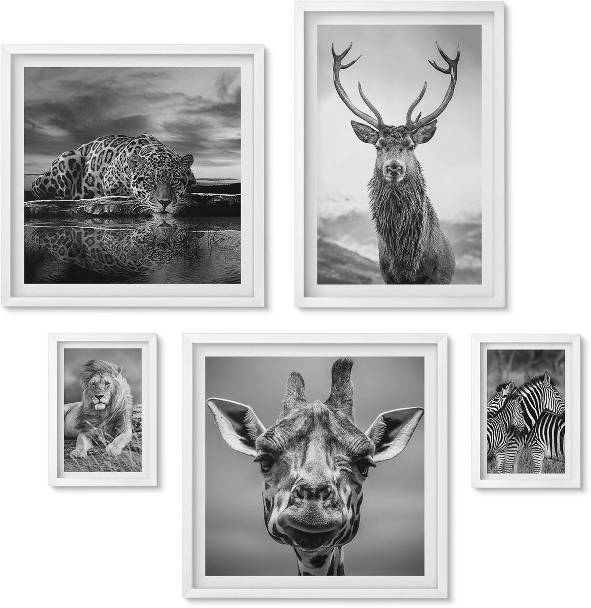 Wallfluent 5-Delige Schilderij Set - Dieren In Zwart-Wit Uit De Natuur En Het Wild. - 50 x 50 cm, 20 x 30 cm En 40 x 60 cm - Muurdecoratie - Decoratieve Schilderijen - Wohnzimmer - Interieur Decoratie