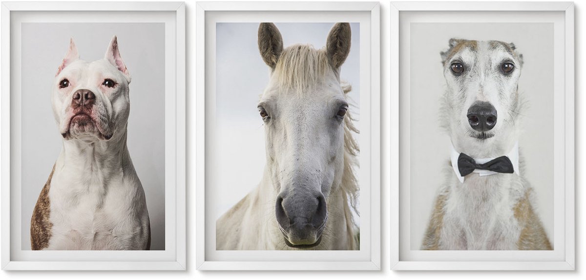 Wallfluent 3-Delige Schilderij Set - Interessante Portretten Van Honden En Paarden In Een Elegante Stijl. - 40 x 60 - Wanddecoratie - Muurdecoratie - Woonkamer - Woonkamer Decoratie