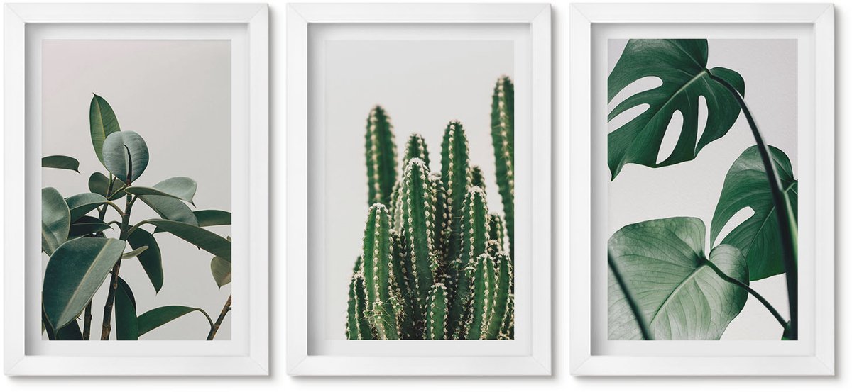 Wallfluent 3-Delige Schilderij Set - Tropische Kamerplanten Met Esthetische Bladeren - 20 x 30 - Stijlvolle Muurdecoratie - Kantoor - Moderne Wanddecoratie