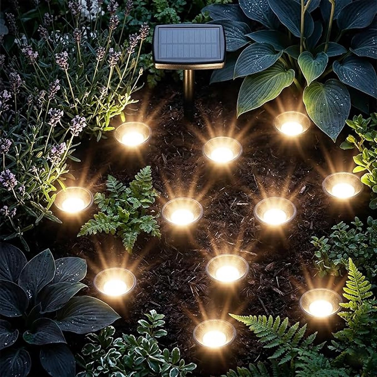 Solar Plantenspot Set Van 10 - LED Tuinspots Op Zonne-energie Met Grondpen - Warm Witte Buitenverlichting Voor Bloemen, Planten, Balkon En Terras