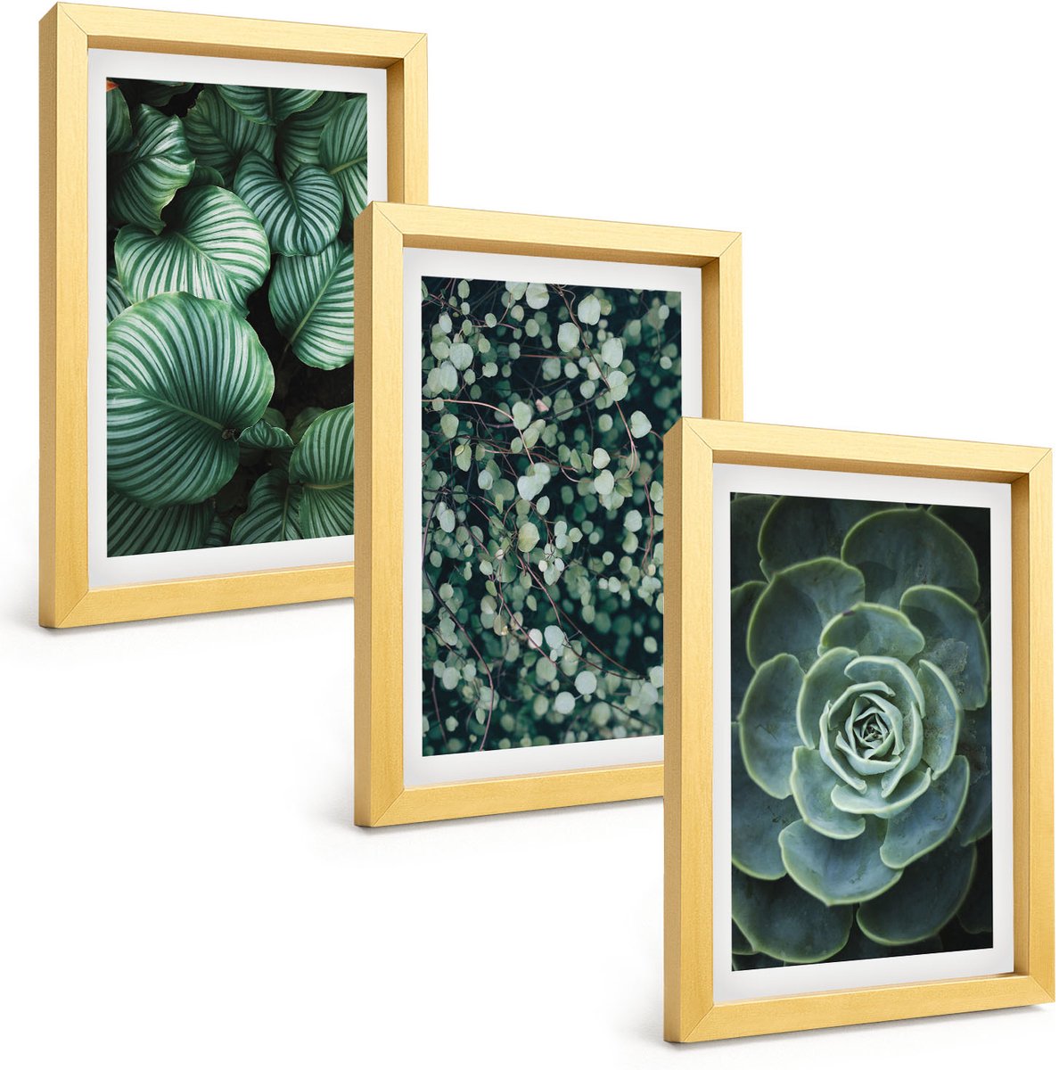 TULUP 4-Delige Schilderij Set - Groene bladplanten en stijlvolle vetplanten - 20 x 30 cm - Decoratieve Schilderijen - Woonkamer - Interieur Gouden lijst