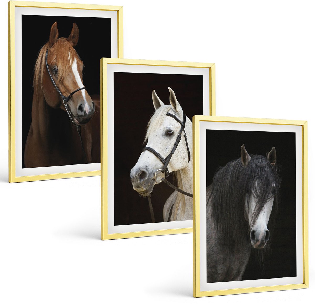 TULUP 4-Delige Schilderij Set - Portretten van paarden in verschillende vachtkleuren - 40 x 60 cm - Decoratieve Muurdecoratie - Slaapkamer - Decoratieve Schilderijen Gouden lijst