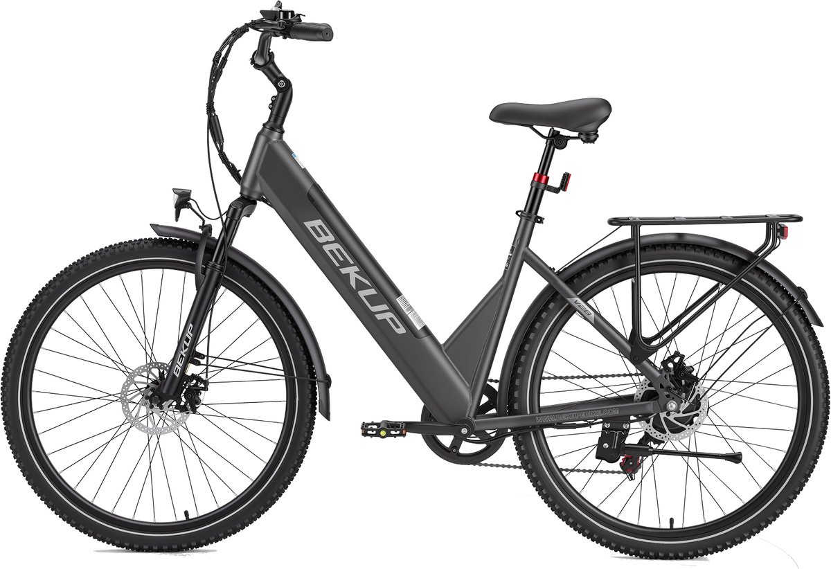 Elektrische Stadsfiets 28 inch -Comfort Lage Instap-75 km Actieradius-250W Motor-Shimano 7 Versnellingen-Verende Voorvork-Verende Zadelpen-LCD Display - rvork-Verende Zadelpen-LCD Display – foto 2