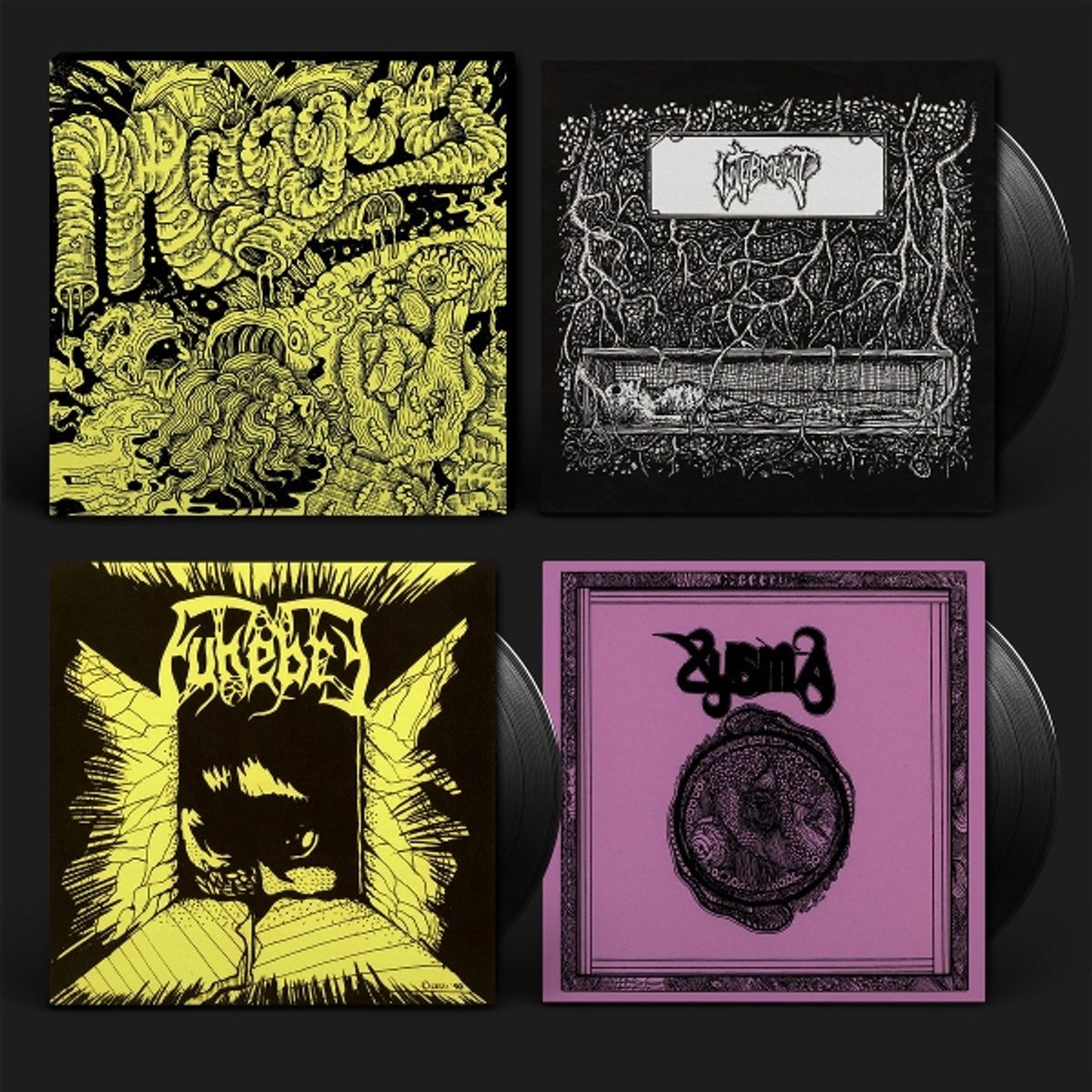 Maggots