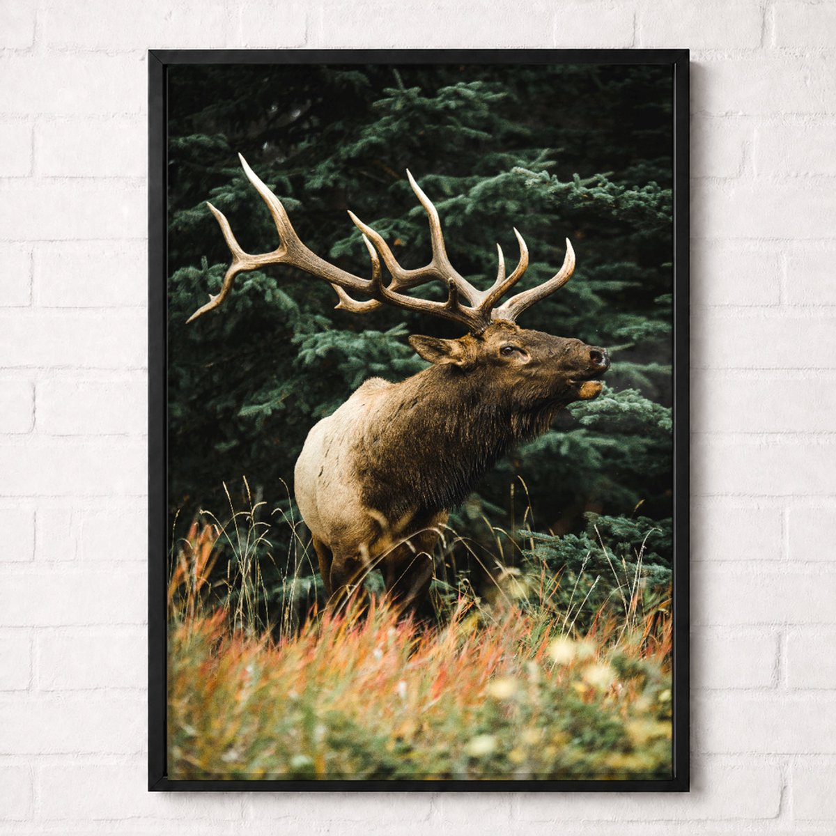 Wapiti in het Bos Poster - Wildlife Nature Collection - Natuur Posters - A2+ 43,2 x 61 cm