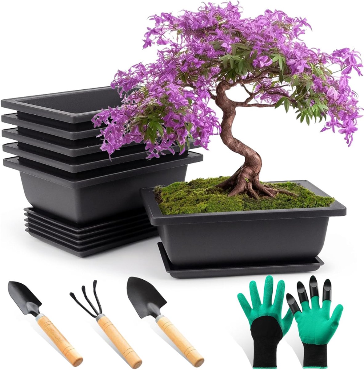 DYVNS® Bonsai Schaal - Pot met Tray - Kunststof - Herbruikbaar - 6 Stuks - Inclusief Gereedschap