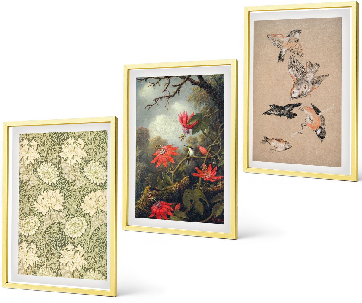 Coloray 3-Delige Schilderij Set - Bloemen En Vogels In Een Natuurlijke Omgeving - 40 x 40 cm En 40 x 60 cm - Moderne Wanddecoratie - Woonkamer - Interieur Decoratie