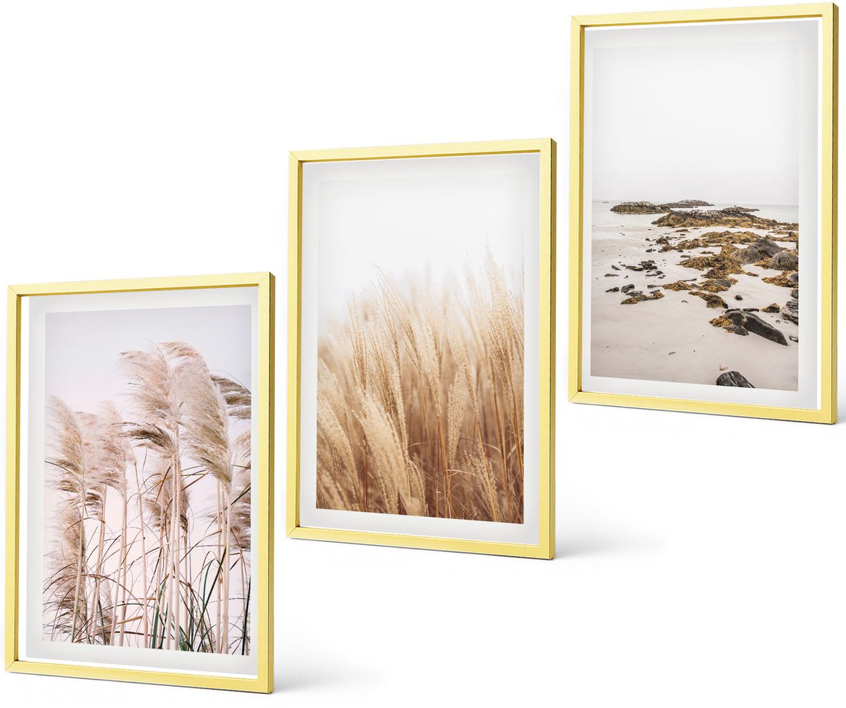 Coloray 3-Delige Schilderij Set - Pampasgrasvelden, Strand, Dromenvanger, Boho-Stijl - 40 x 40 cm En 40 x 60 cm - Decoratieve Schilderijen - Woonkamer - Interieur - Wanddecoratie