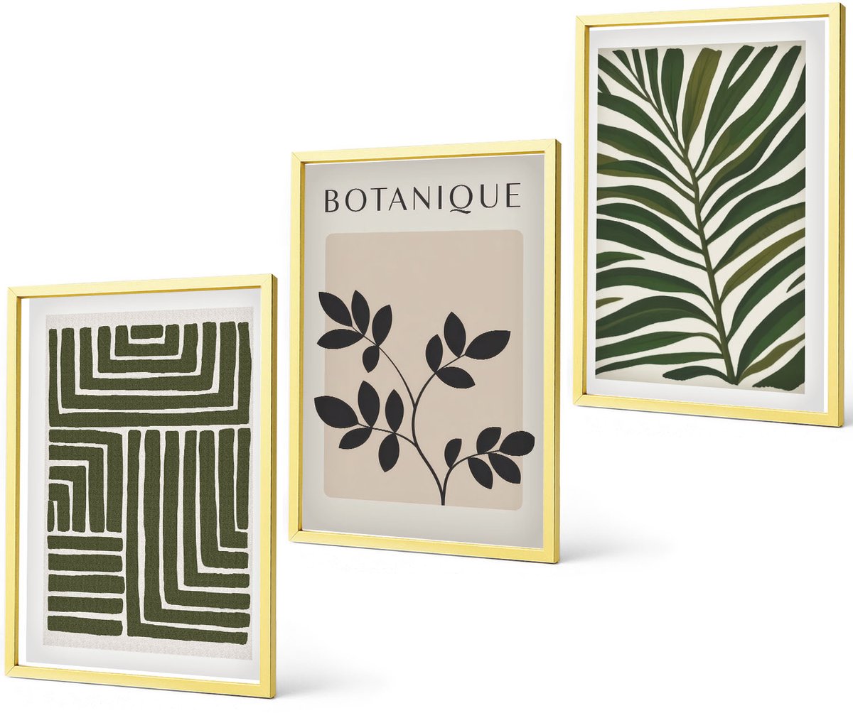 Coloray 3-Delige Schilderij Set - Botanische Composities In Boho-Minimalistische Stijl - 40 x 40 cm En 40 x 60 cm - Muurdecoratie - Schilderijen Set - Woonkamer - Decoratieve Schilderijen